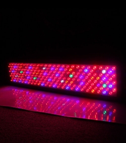 LED Pflanzenlicht, LED Grow light, Pflanzenwachstum, Wachstumslicht, LED Pflanzenstrahler